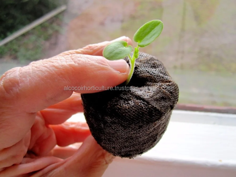 coir plug as soil substrate