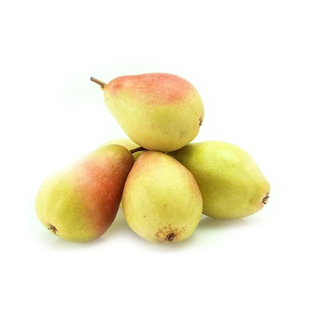 
Pear Santa Maria 