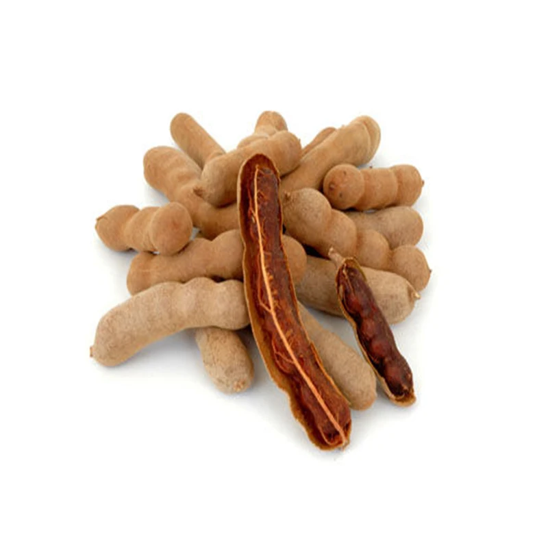 New Crop Organic Tamarind Fresh