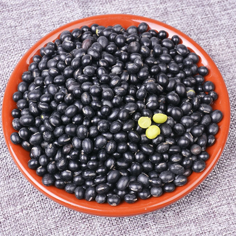 
7mm up Black Bean with Yellow / Green Kernel 