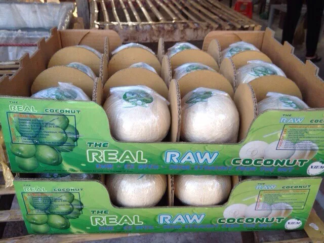 FRESH YOUNG COCONUT VIETNAM (CHEAP PRICE AND HIGH QUALITY)/ Vivan Ha +84 33 882 0 462