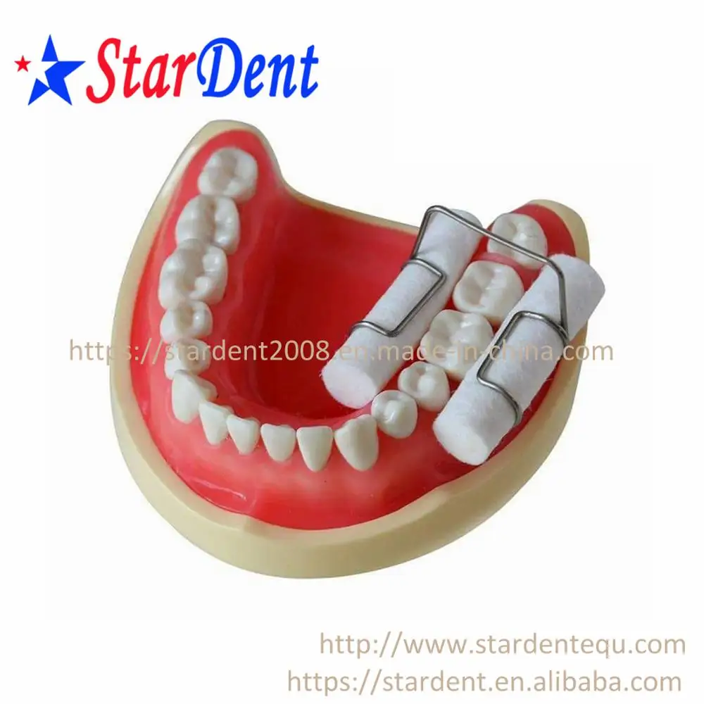 Dental Cotton Roll Holder Frame/ Metal Bracket Of Dental Materials