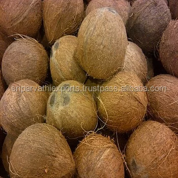 Fresh Organic Matured Coconut