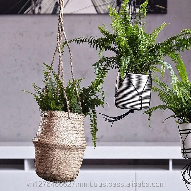 
Natural color of belly sea grass basket in small size/ wholesale for basket 