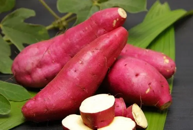 Сладкий картофель по низкой цене/BATATA /YAM (WHATSAPP +