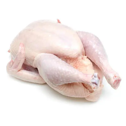 Buy Halal A Grade Frozen Whole Chicken From Brazil
