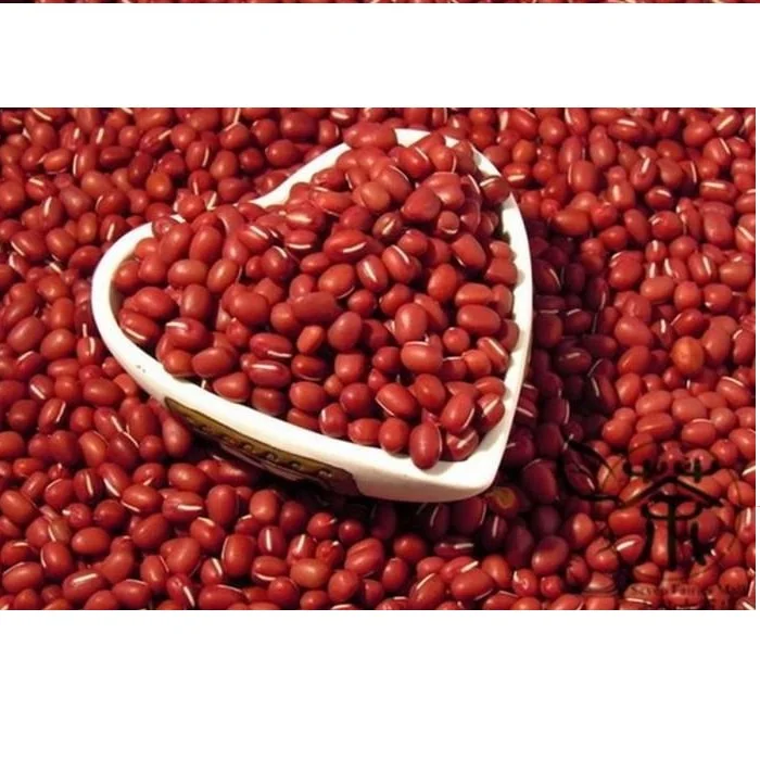RED BEANS HIGH QUALITY FROM VIETNAM 2021/Whatsapp +84 845 639 639