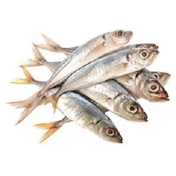Best frozen horse mackerel whole round fish...