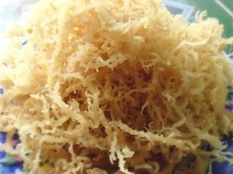 Морские водоросли Spinosum/Eucheuma cottonii