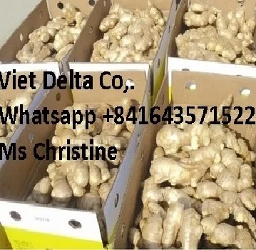 price per ton of fresh ginger from Vietnam