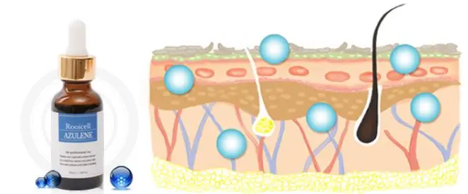 ISO22716 GMP OEM/Private Label  Korean high quality  facial serum  Rooicell Azulene Serum for sensitive and dark skin100ml