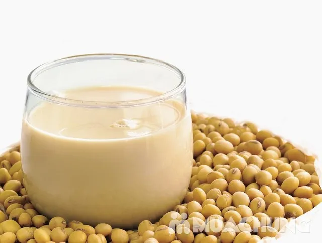 ROASTED SOYBEAN FLOUR FROM VIETNAM GOOD PRICES