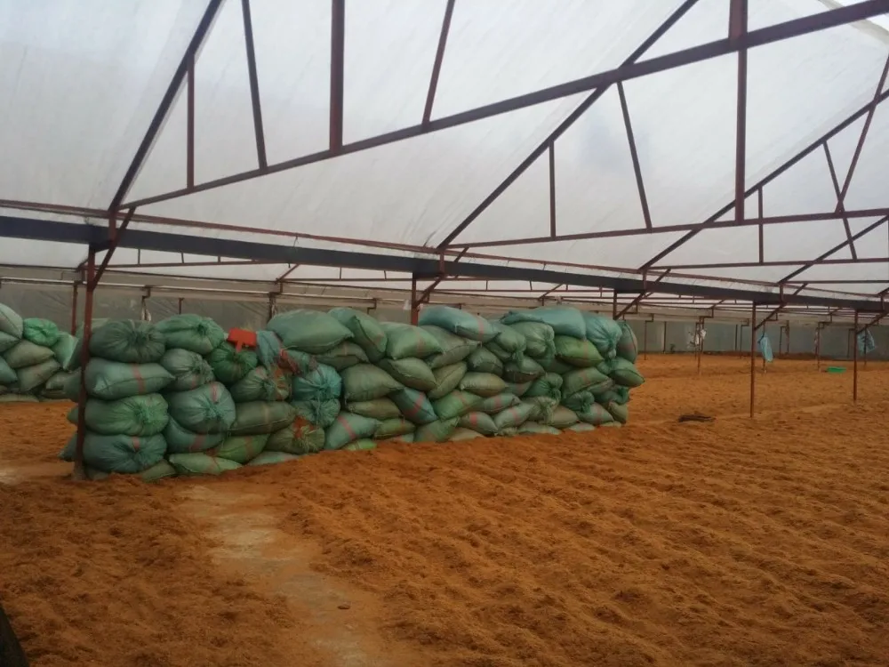 Кокосовые кубики для растений/торфяной кокосовый продукт из Вьетнама/кокосовый орех Вьетнама/свяжитесь с нами: + 84 918509071