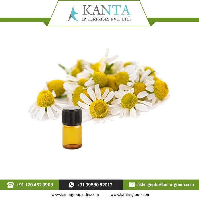 100% Natural Chamomile Essential Blue Oil at Low Price