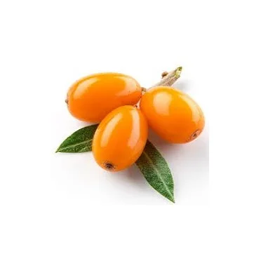 Seabuckthorn Seed Oil
