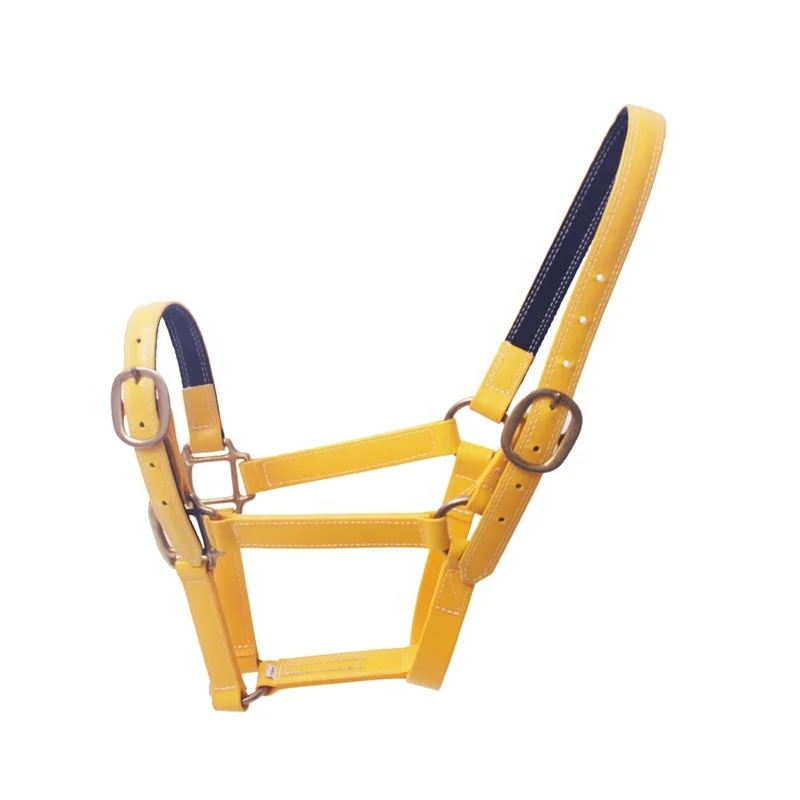 Холтер из ПВХ с разными цветами