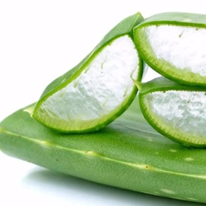 Diced Aloe Vera/ Aloe Vera Cube from Vietnam