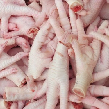 BRAZILIAN HALAL FROZEN WHOLE CHICKEN SUPPLIERS