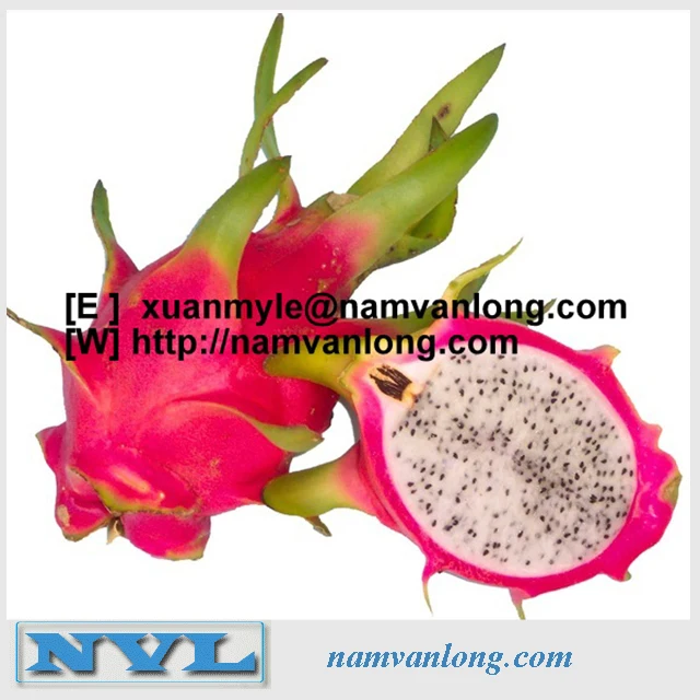 BEST BUY! TASTY FROZEN DRAGON FRUIT FOR SALES ( IQF)