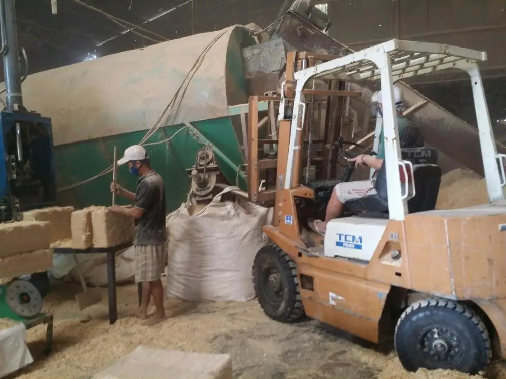 Wood Shavings for Poultry Bedding - Horse
