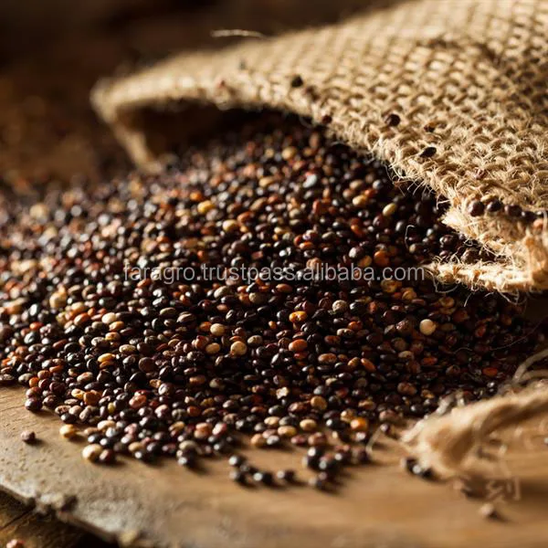 
High Quality Peru 100% White god-given organic quinoa for wholesale 