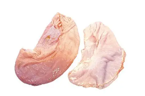 FROZEN PORK FRONT HOCK, BELLY, SPARE RIBS READY FOR SUPPLY