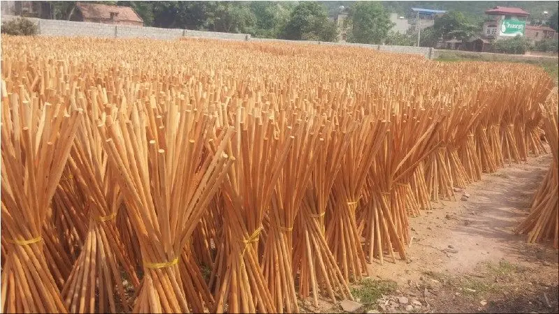105.000 pcs/ cont 40HC of Hardwood broom stick origin of Vietnam