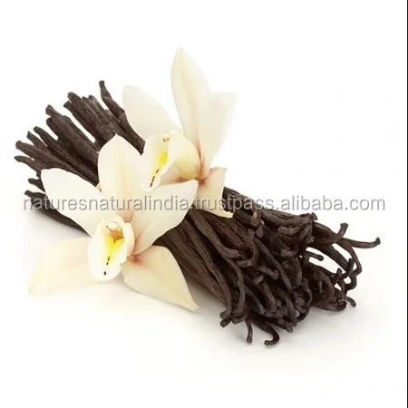 Organic Vanilla Oil Distillers in India for Soap perfume making and other flavoring Essential oils For Sale at Wholesale Price
