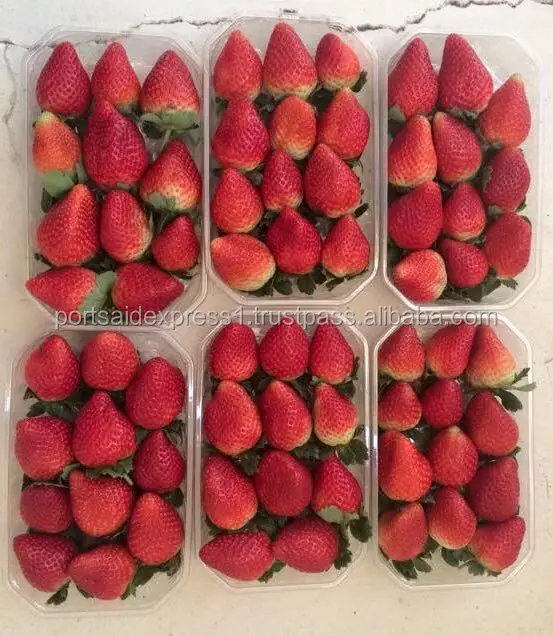 fresh strawberry price 2023