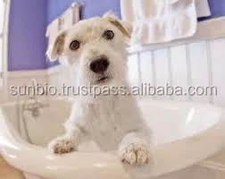 Neem Pet Shampoo extracted from pure neem kernel by cold presssed method for shiny, silky, smooth hair