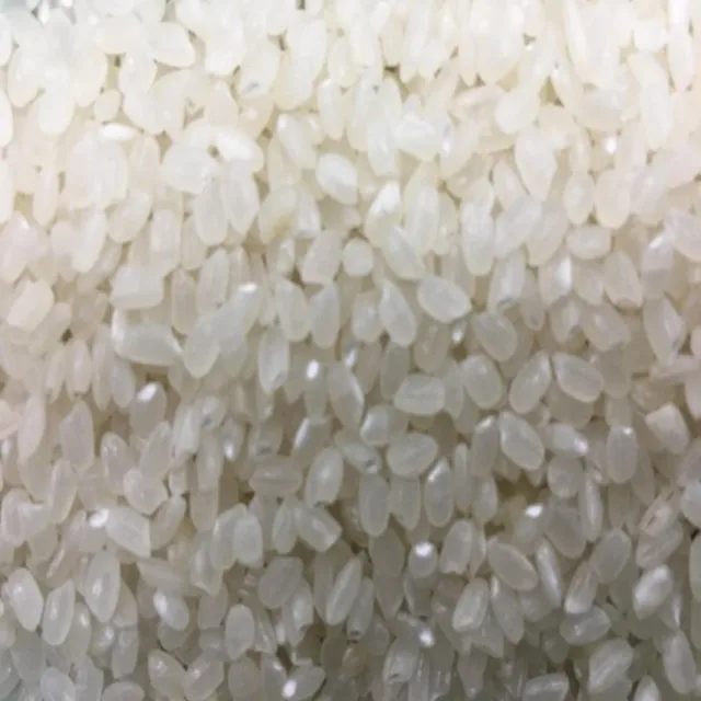 
5% BROKEN VIETNAM ROUND RICE WITH BEST MANUFACTURER 