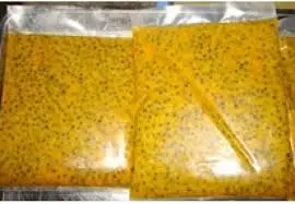 Cheapest Fresh freeze passion fruit in the world