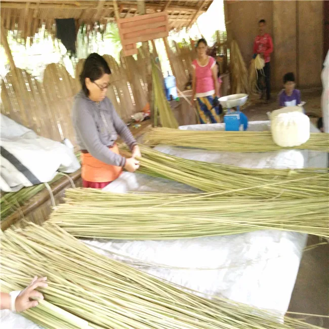 Philippine and Madagascar raffia grass nature fiber wall paper  material making used for hat or flower packing