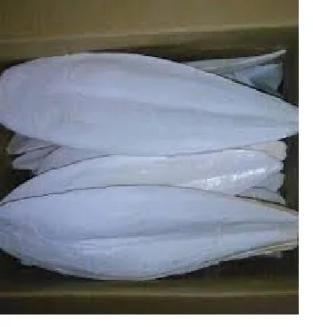 CUTTLEFISH BONE from VIET NAM with the best price/WHATSAPP 84845639639