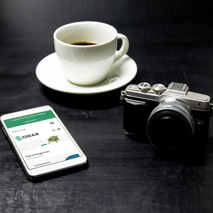 Top leading Magento website app design and development services in India - ProtoLabz eServices