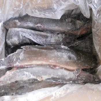 fresh and frozen catfish for export