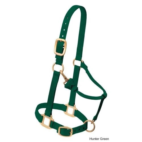 Green ESE Original Adj Horse India Kanpur Halter