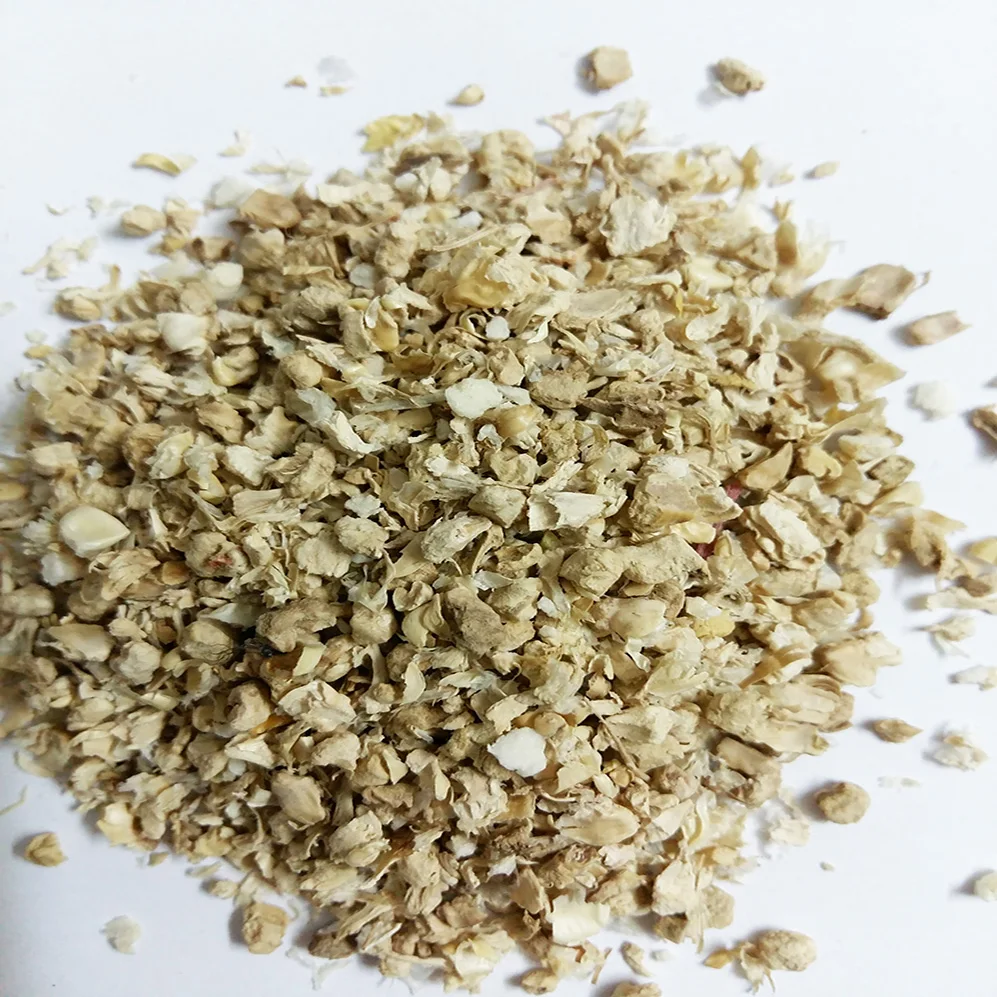 BEST PRICE FOR CORN COB for Animal feed/Mushroom and vegetable cultivation Made In Vietnam