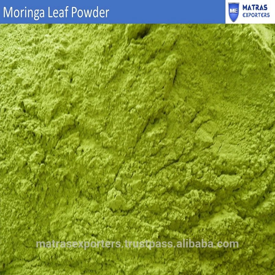 Moringa In India Wholesale | Moringa Suppliers- - Whatsapp: +91 73580 94554