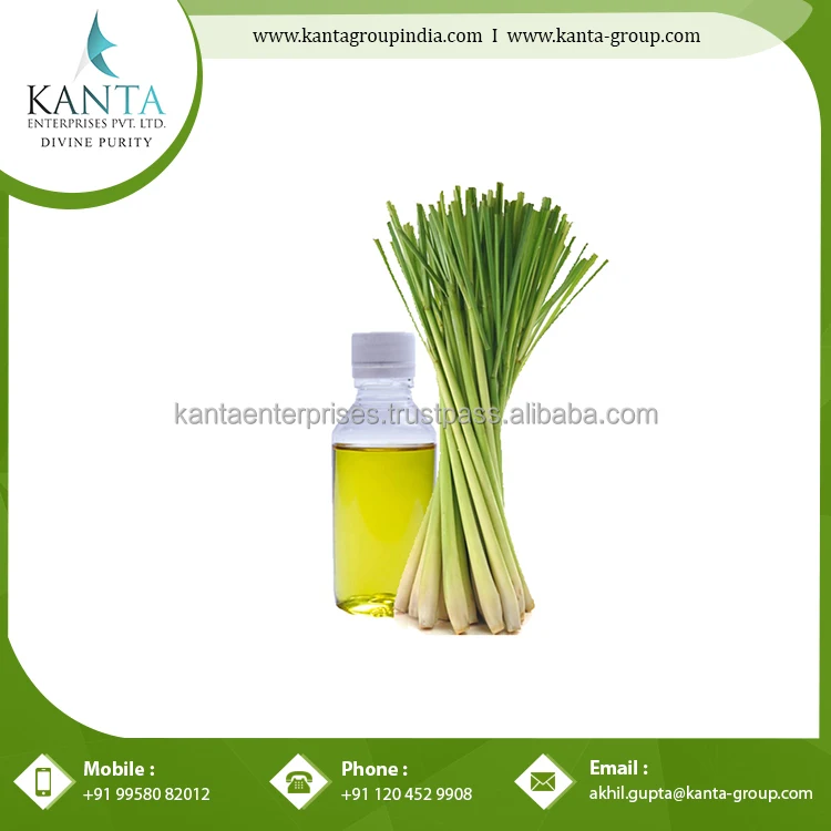 Buy Online Gingergrass Essential Oil / Ginger oil nurtures the skin for Sale Available at Cheap rates