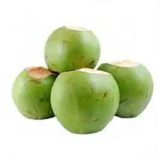 GREEN COCONUT hight quality Whatsapp +84-845-639-639