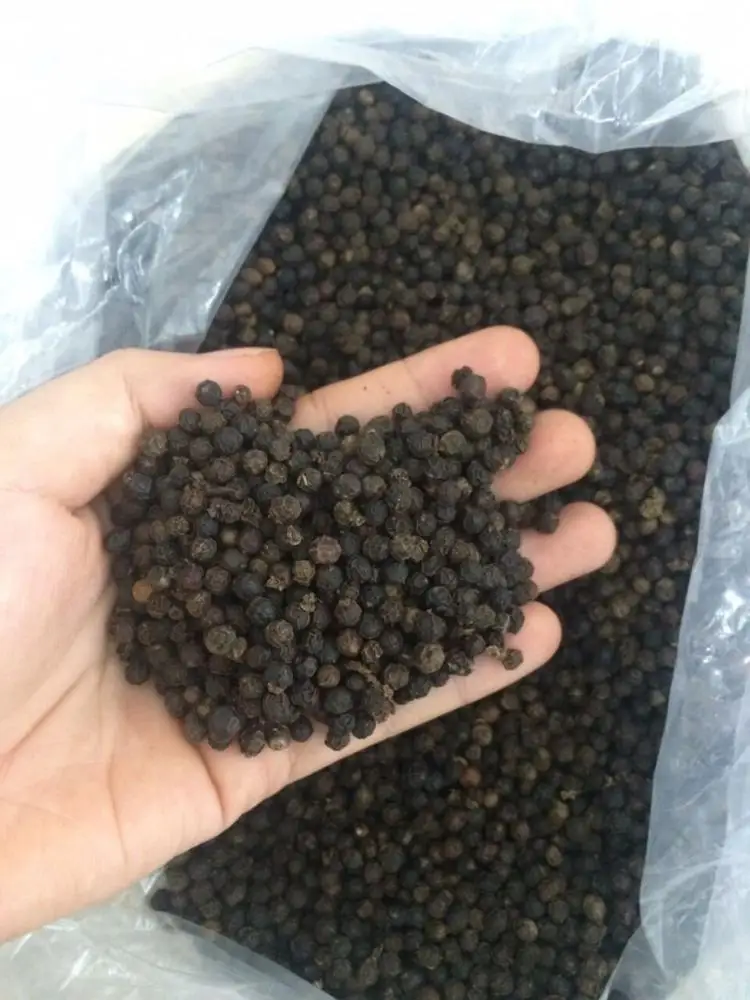BLACK PEPPER 500 GL CLEANED FROM KINGPEPPER VIETNAM BEST OFFER