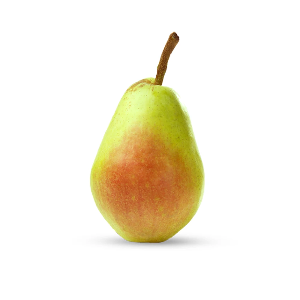 
Pear Santa Maria 