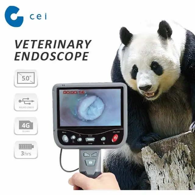 Veterinarian Medical Endoscope For Orthopedic Surgical Instrument Ear Scope Pet Care Accessories