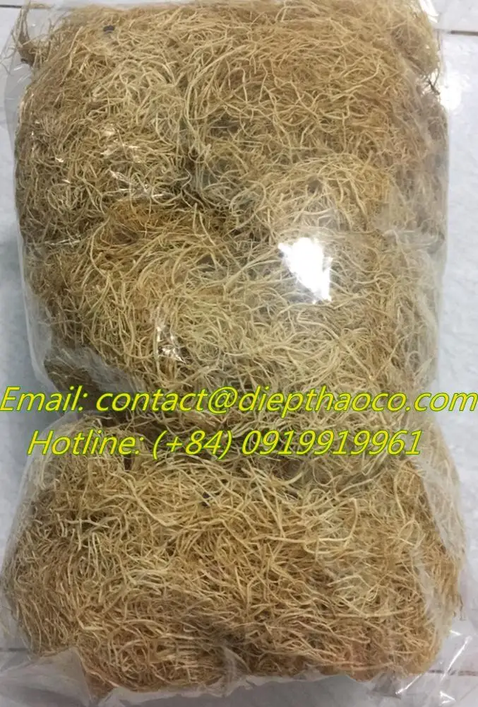 Gracilaria seaweed white color use food human lowest moisture of diep thao company