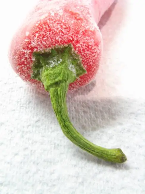 WHOLE SALE CHILI FROZEN/ HOT RED CHILI+84-845-639-639 (Whatsapp)