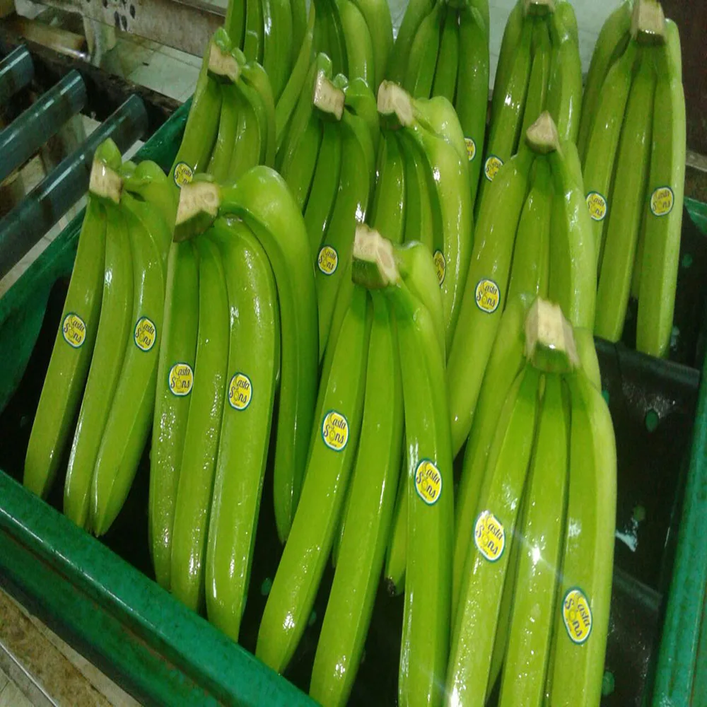 
BANANAS FRESH FRUIT!!!! 