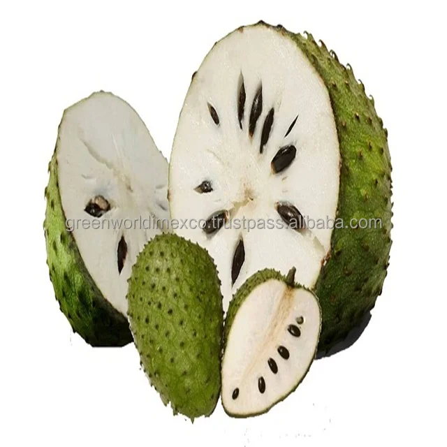 FROZEN SOURSOP PUREE - BEST PRICE FROM VIETNAM - GRAVIOLA/SOURSOP JUICE RICH NUTRITION FOR YOUR HEALTH