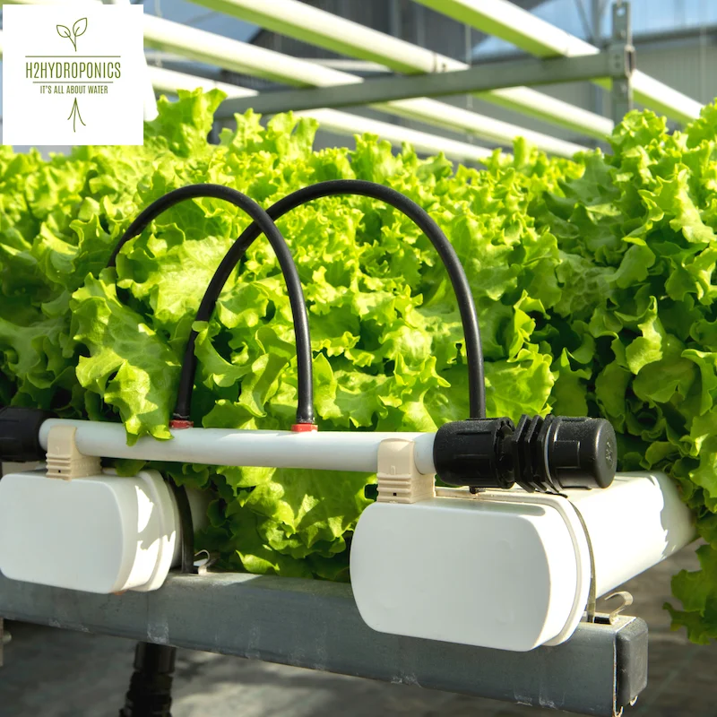 
Hydroponic Trays and NFT Channels for Hydroponic Systems 