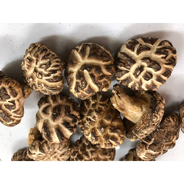 
Dried M size White flower donko-shiitake for longevity secret 